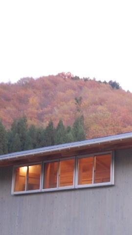 星の森　夕景.jpg